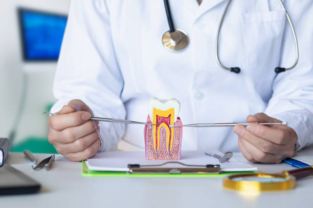 Best Pediatric Emergency Dentist in Troy, NC